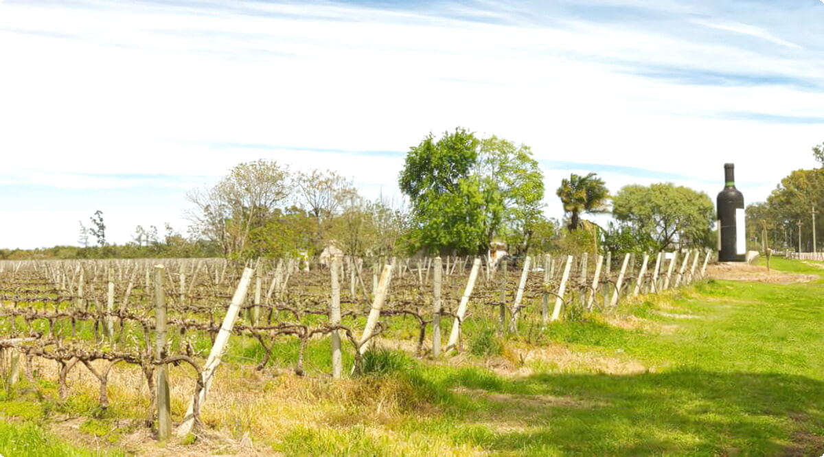 Las mejores ofertas de alquiler de coches en Carmelo
